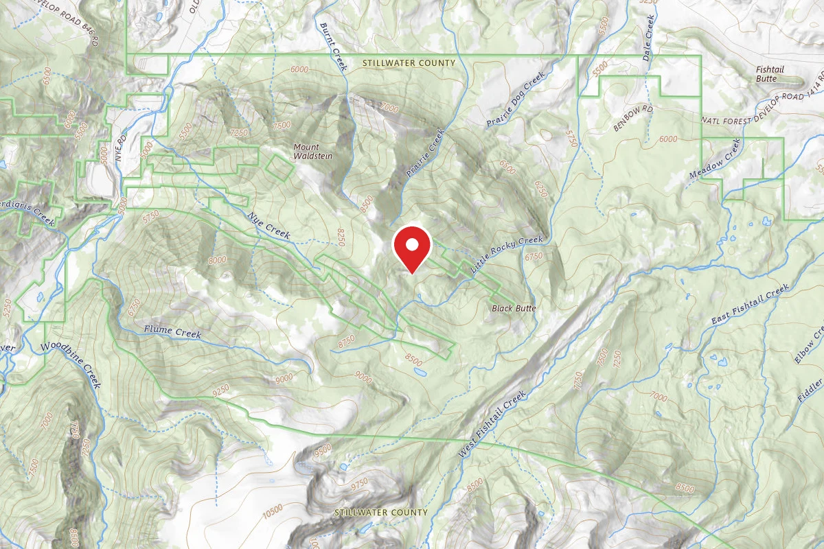 Custer Gallatin Dispersed Campsite BRD2414-002