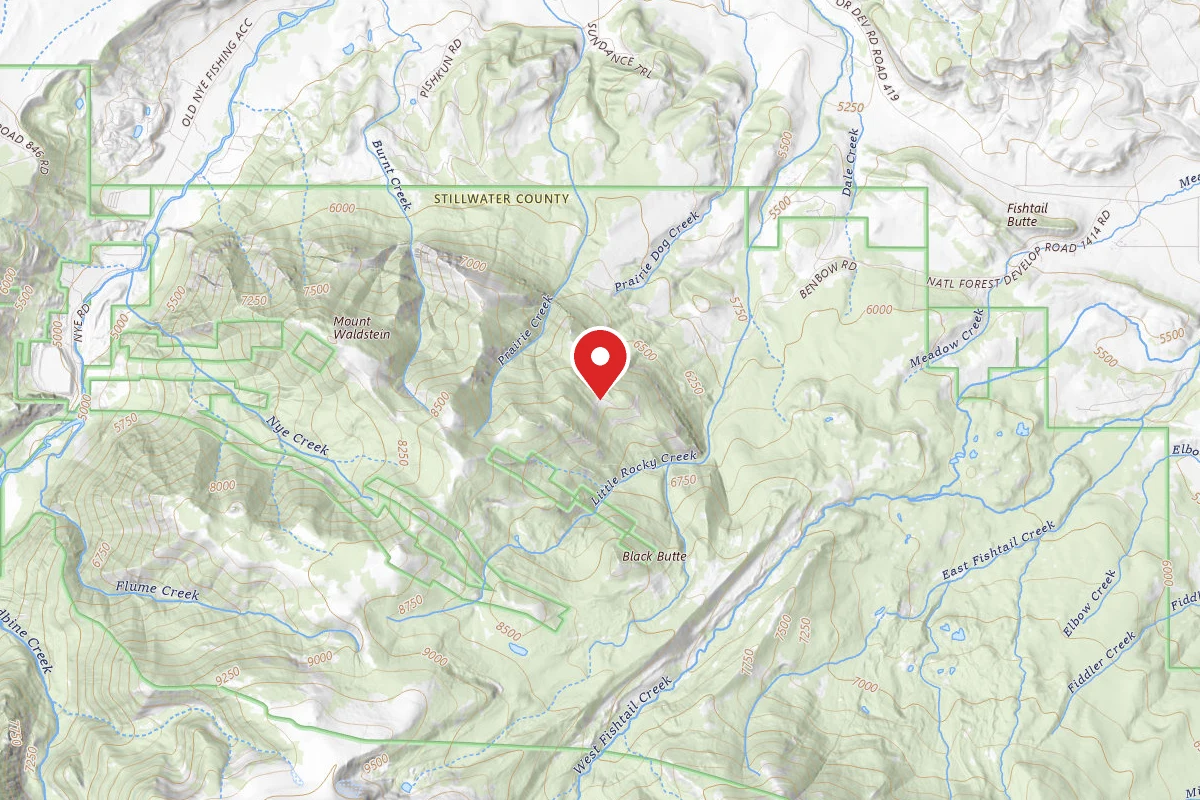 Custer Gallatin Dispersed Campsite BRD2414-003