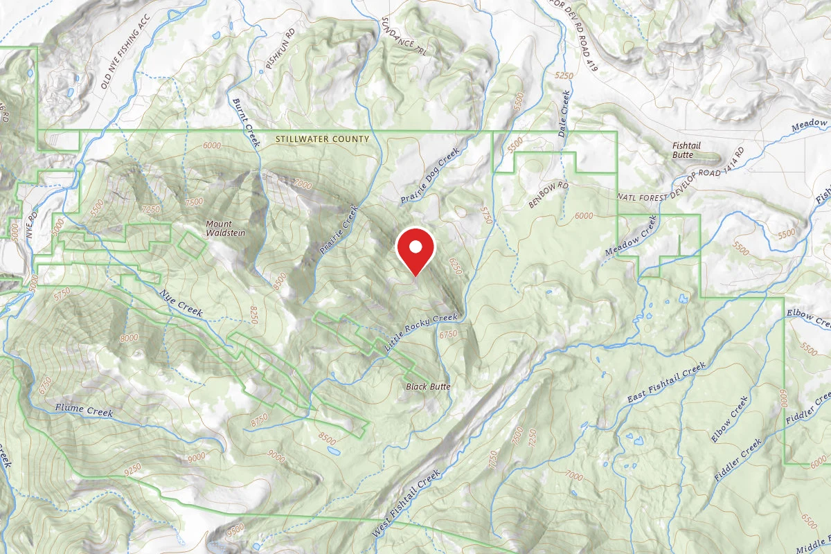 Custer Gallatin Dispersed Campsite BRD2414-004