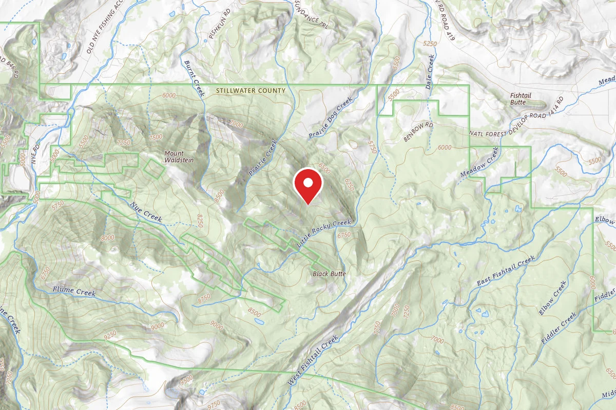 Custer Gallatin Dispersed Campsite BRD2414-006