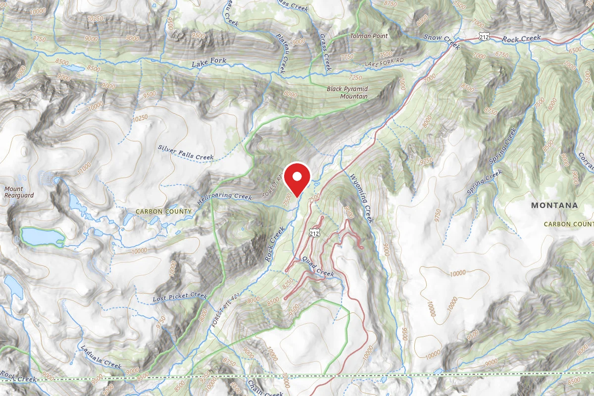 Custer Gallatin Dispersed Campsite BRD2421-008B