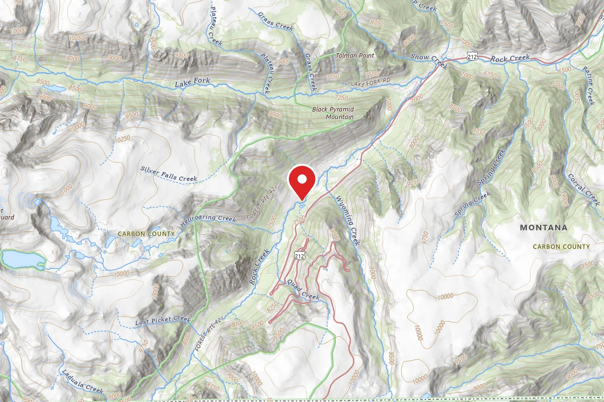 Custer Gallatin Dispersed Campsite BRD24211-002J