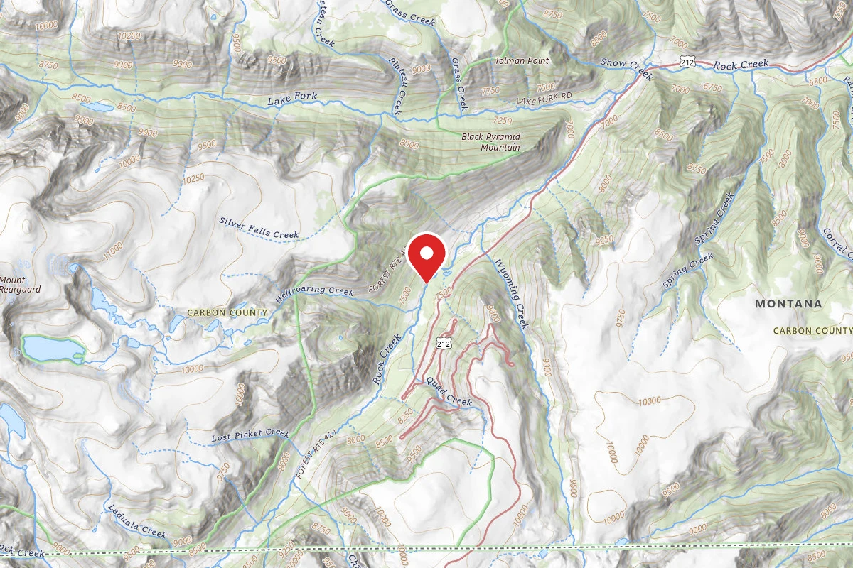 Custer Gallatin Dispersed Campsite BRD2421-003