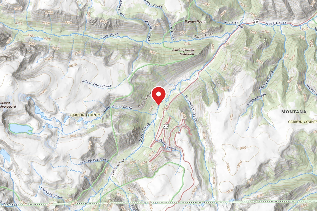Custer Gallatin Dispersed Campsite BRD2421-004