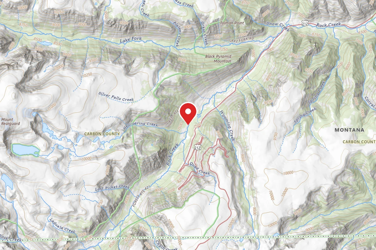 Custer Gallatin Dispersed Campsite BRD2421-007