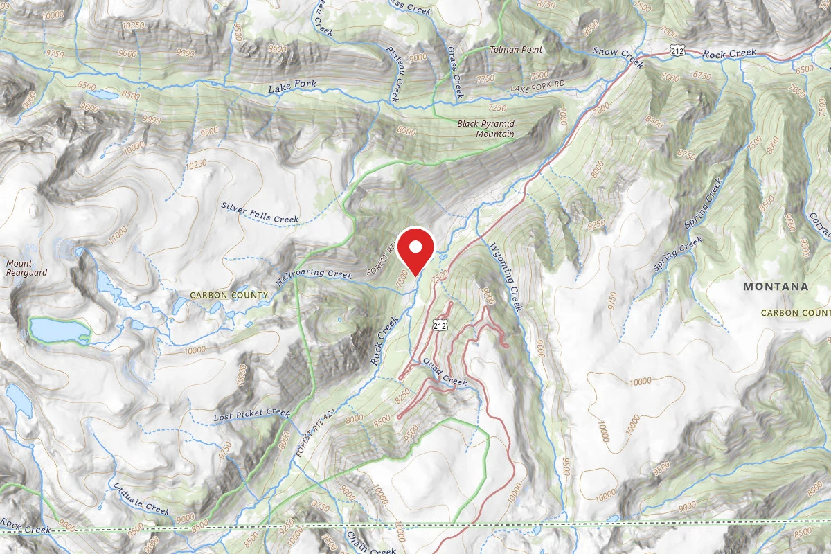 Custer Gallatin Dispersed Campsite BRD2421-008A
