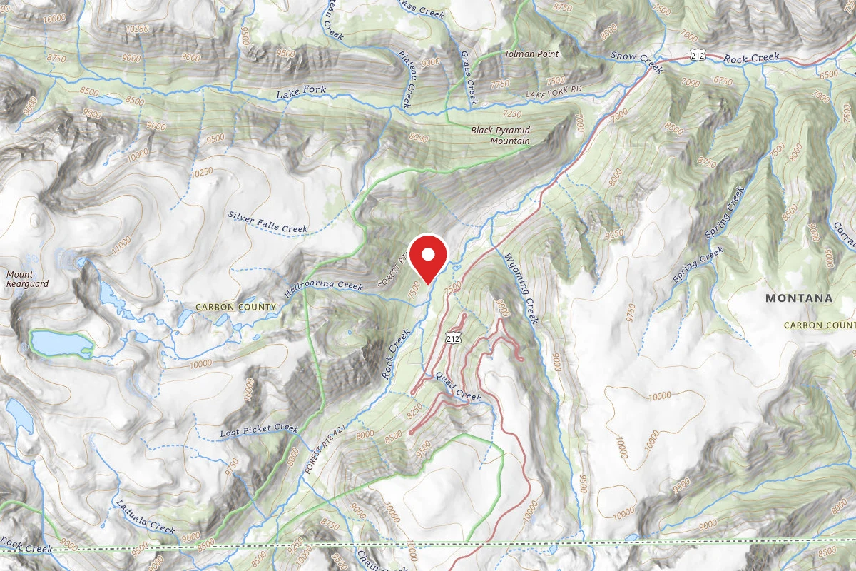 Custer Gallatin Dispersed Campsite BRD2421-008C