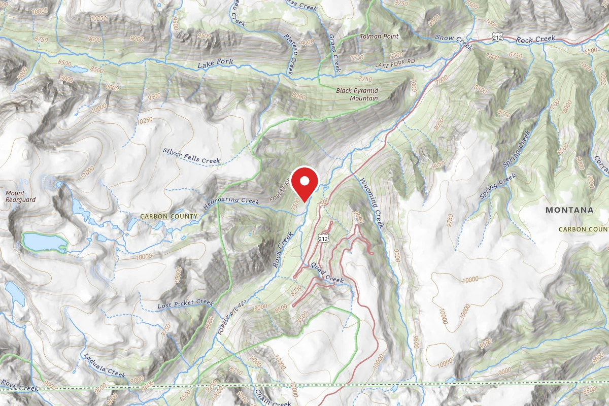Custer Gallatin Dispersed Campsite BRD2421-008D
