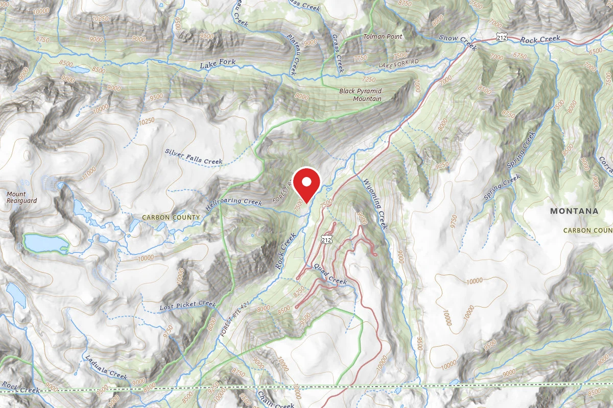 Custer Gallatin Dispersed Campsite BRD2421-008E