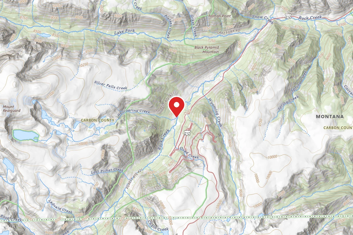 Custer Gallatin Dispersed Campsite BRD24212-001