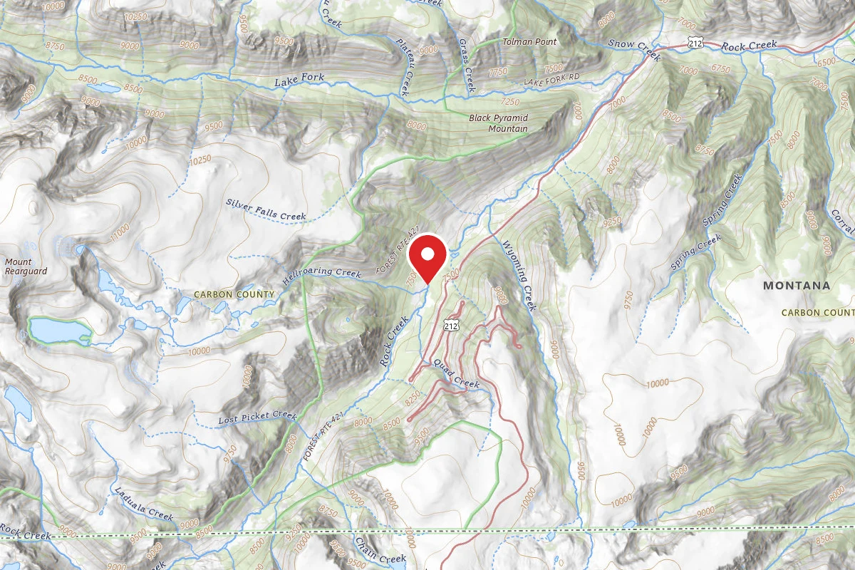 Custer Gallatin Dispersed Campsite BRD24212-002