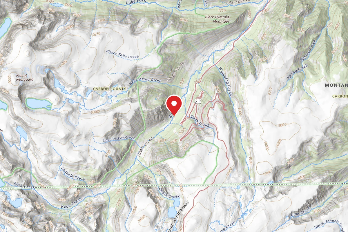 Custer Gallatin Dispersed Campsite BRD242109