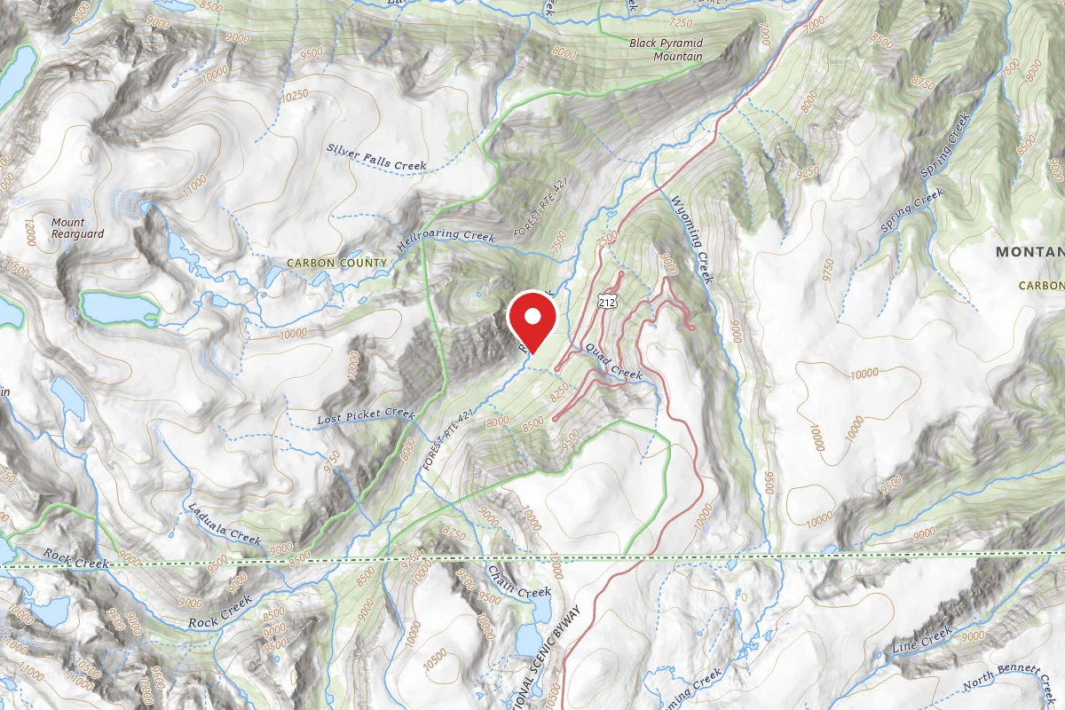Custer Gallatin Dispersed Campsite BRD242110
