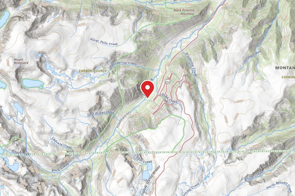 Custer Gallatin Dispersed Campsite BRD2421-019