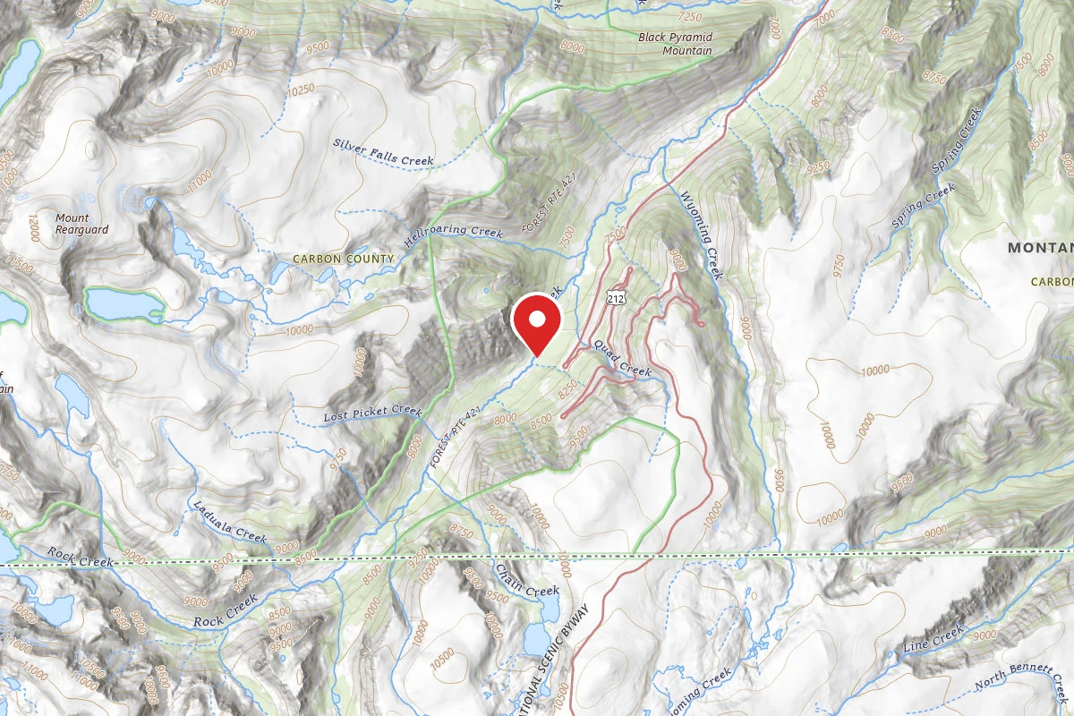 Custer Gallatin Dispersed Campsite BRD242111-001