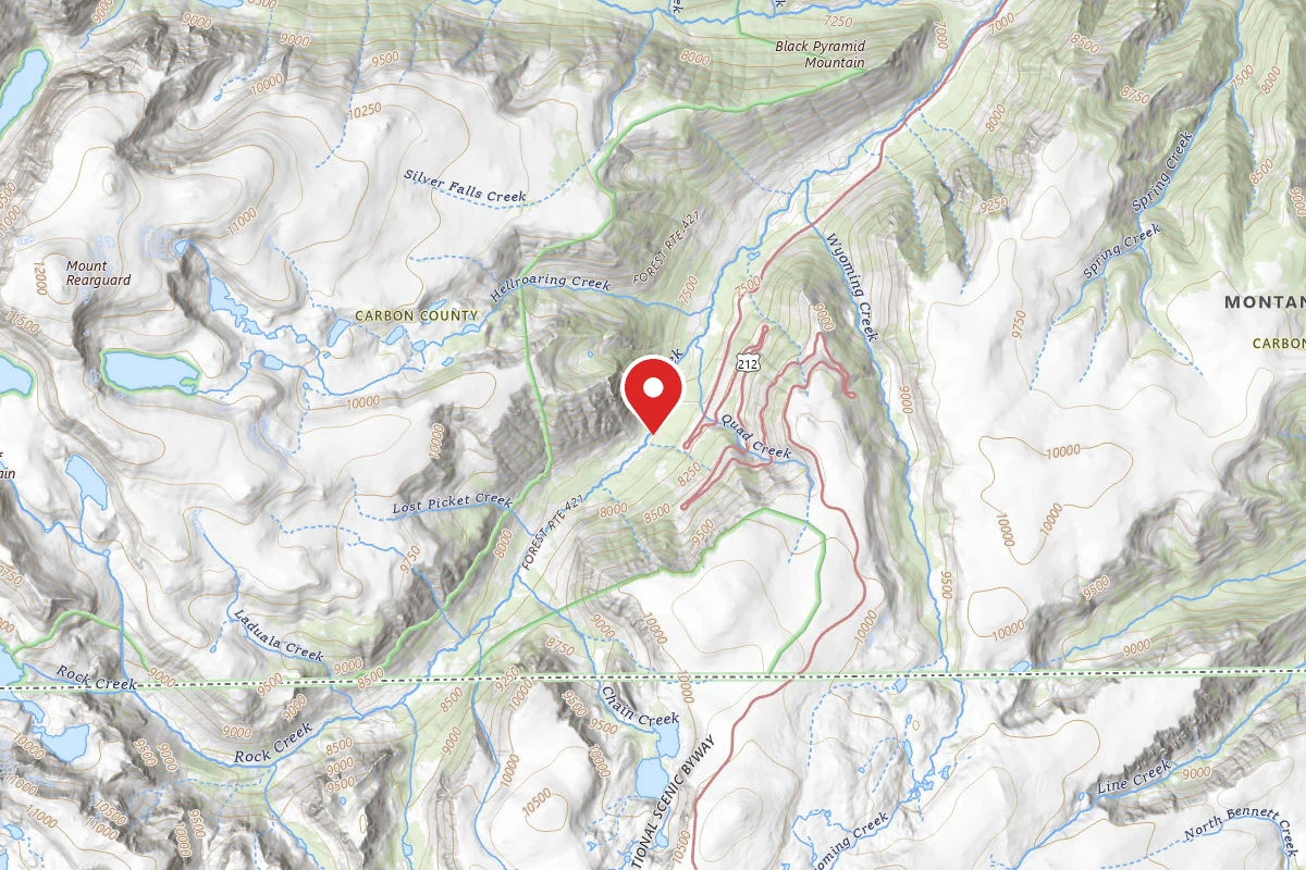 Custer Gallatin Dispersed Campsite BRD242111-002