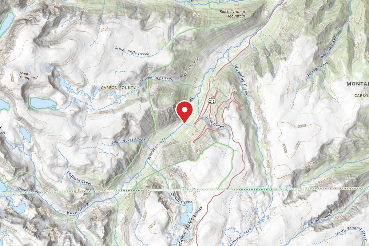 Custer Gallatin Dispersed Campsite BRD2421-020