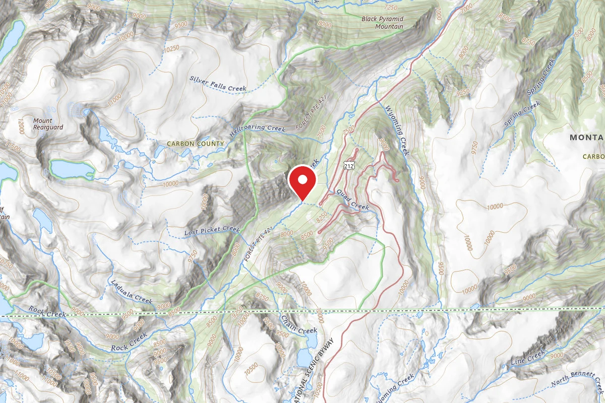 Custer Gallatin Dispersed Campsite BRD242112