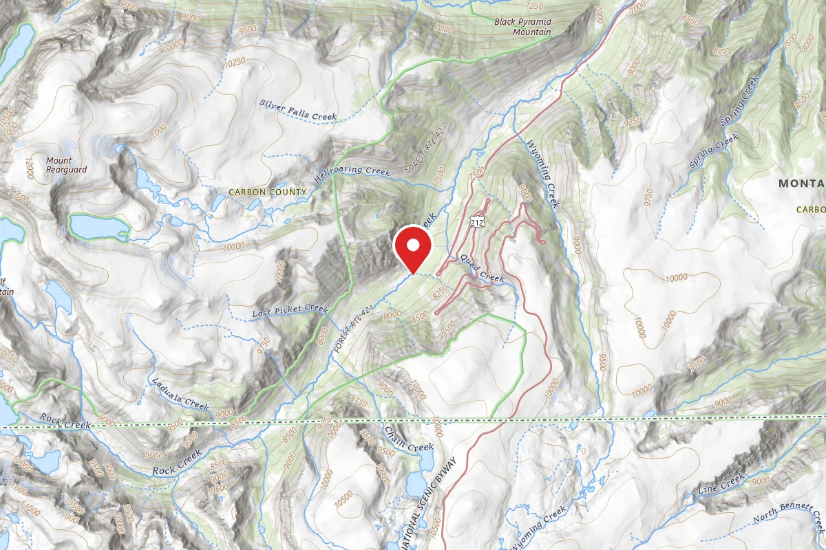 Custer Gallatin Dispersed Campsite BRD2421-021