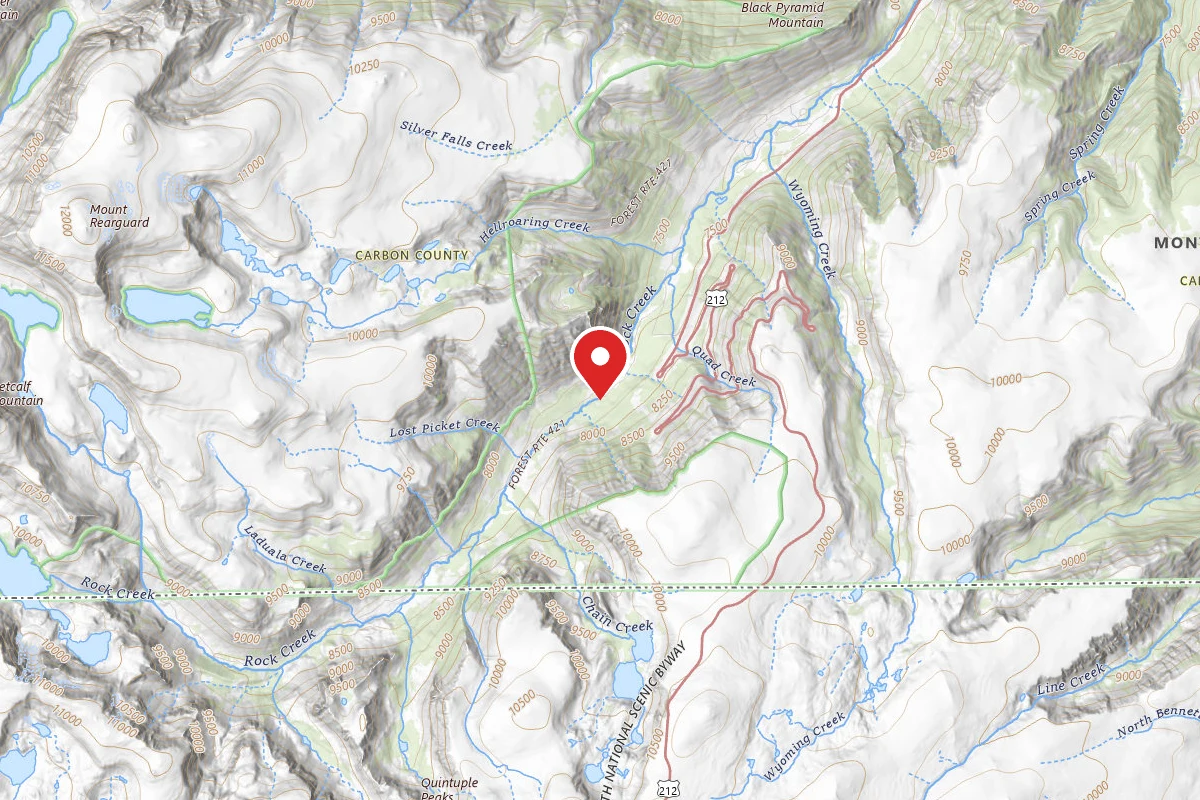 Custer Gallatin Dispersed Campsite BRD242113-002