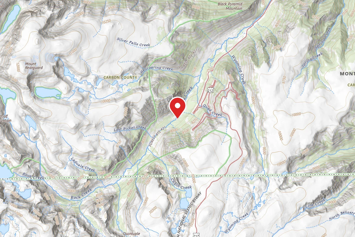 Custer Gallatin Dispersed Campsite BRD242108