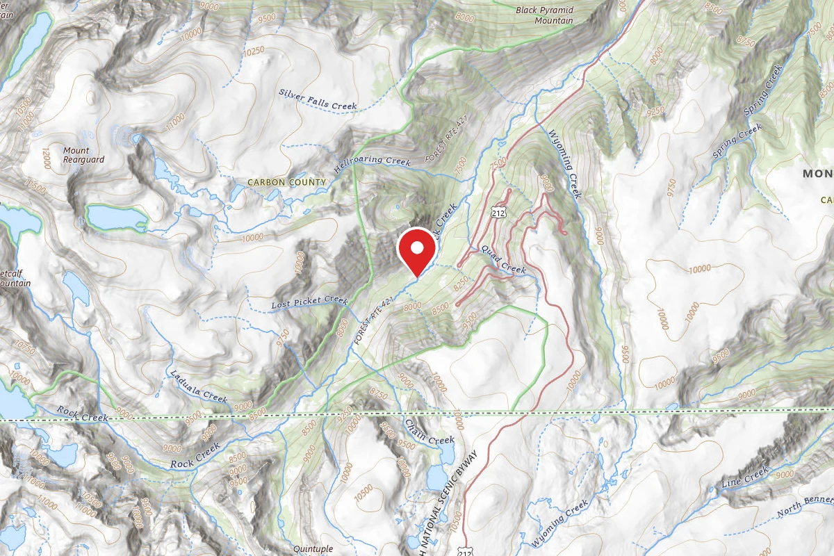 Custer Gallatin Dispersed Campsite BRD242114
