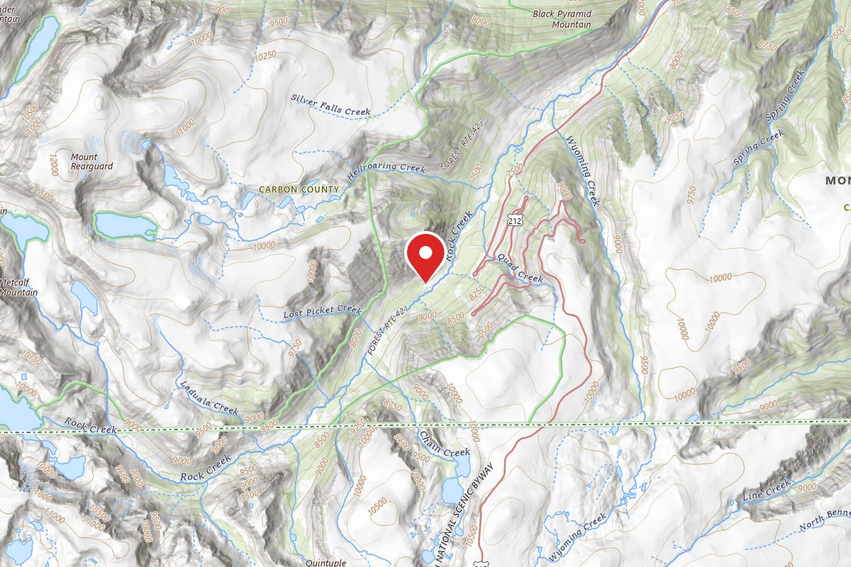 Custer Gallatin Dispersed Campsite BRD242115B-002