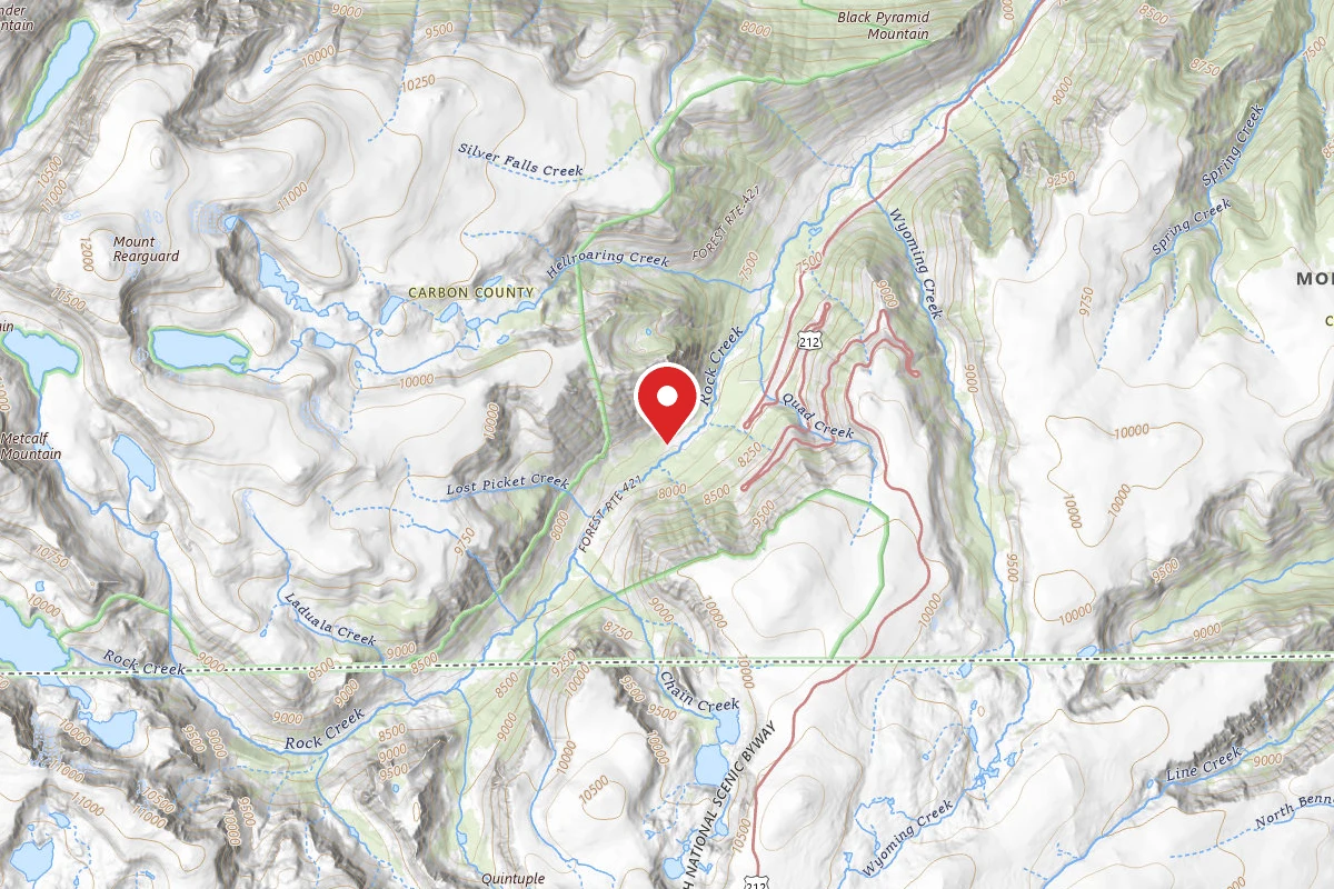 Custer Gallatin Dispersed Campsite BRD242115B-005
