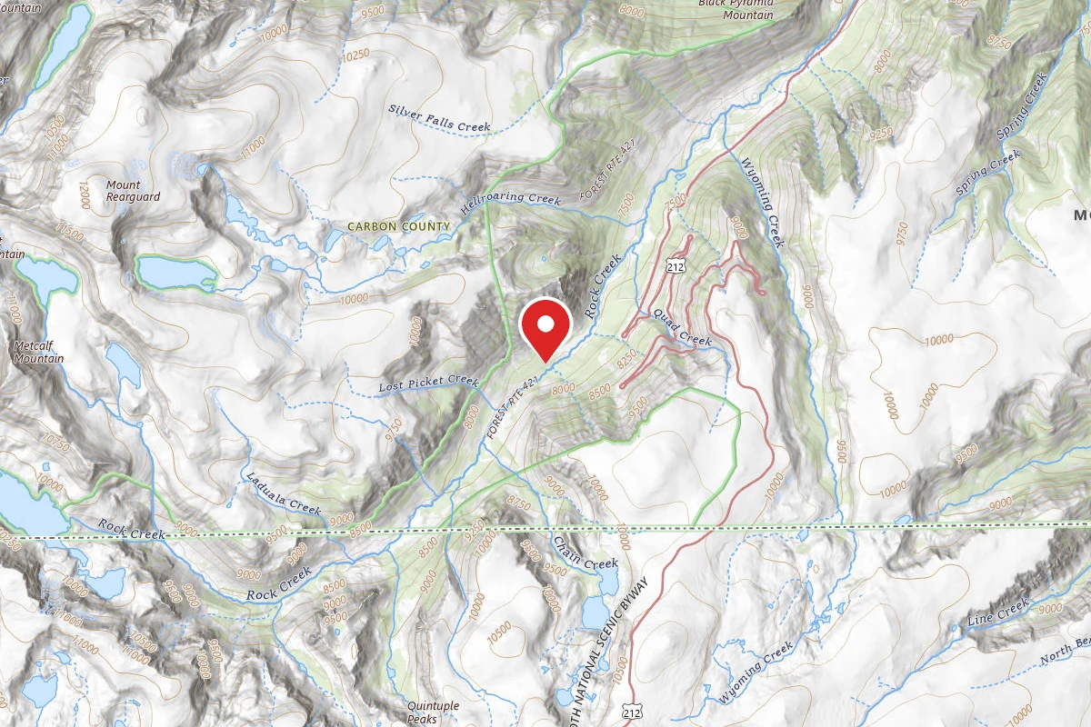 Custer Gallatin Dispersed Campsite BRD242115B-007