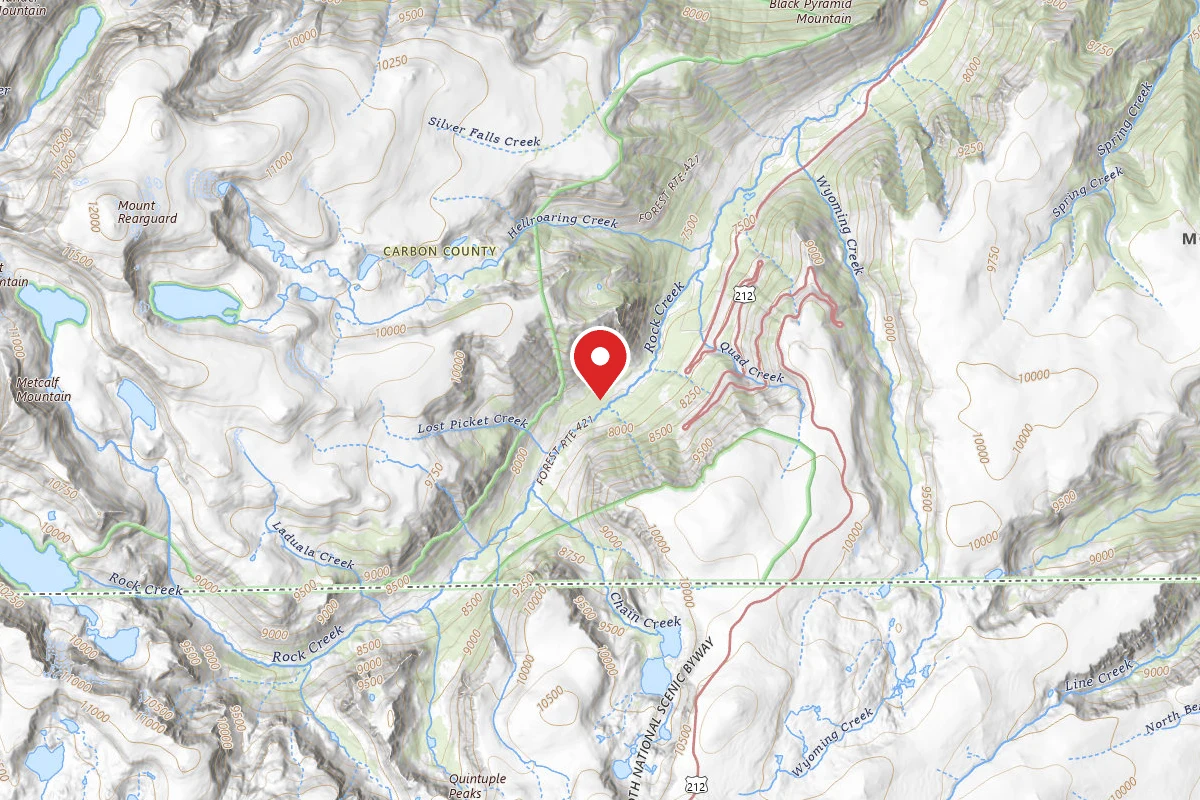 Custer Gallatin Dispersed Campsite BRD242115A