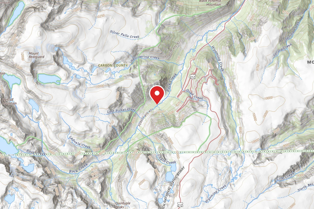 Custer Gallatin Dispersed Campsite BRD2421-025