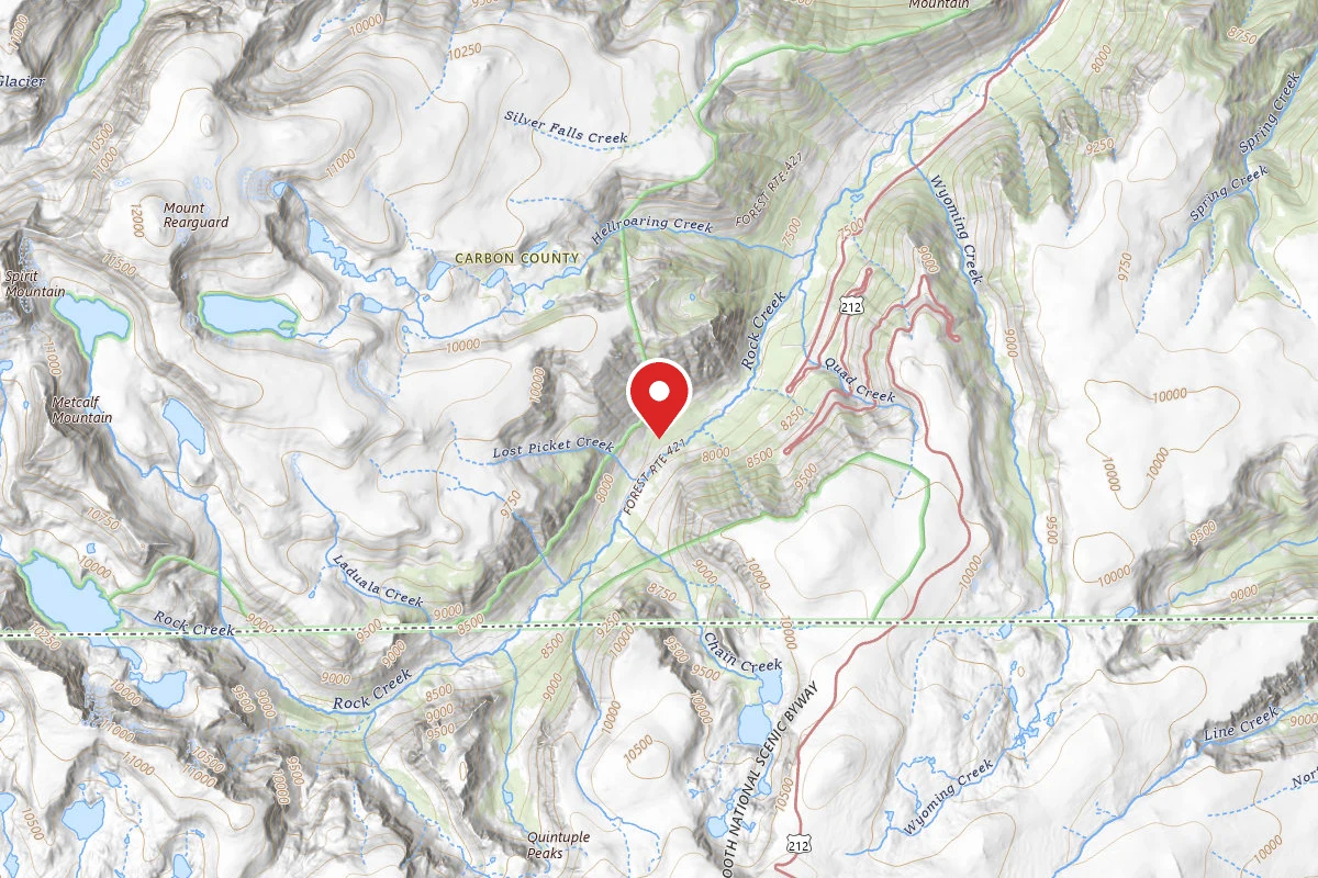 Custer Gallatin Dispersed Campsite BRD242115