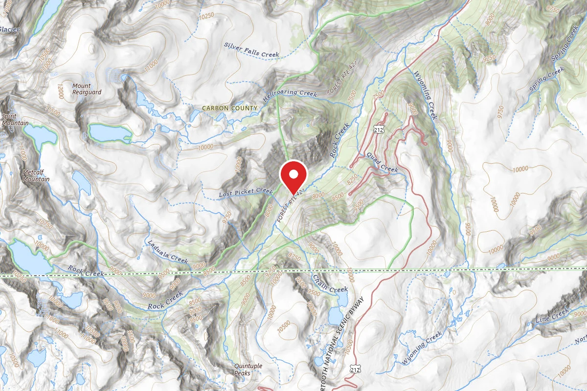 Custer Gallatin Dispersed Campsite BRD2421-027