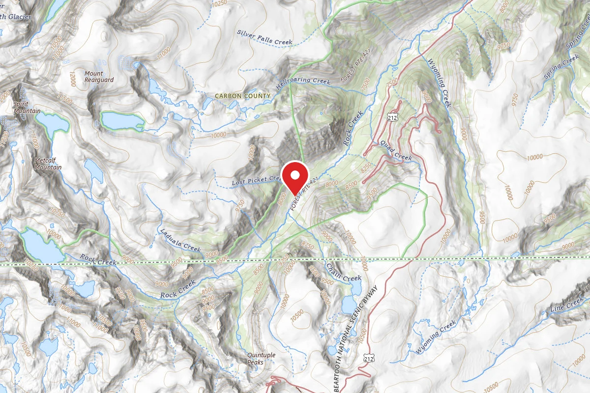 Custer Gallatin Dispersed Campsite BRD2421-028