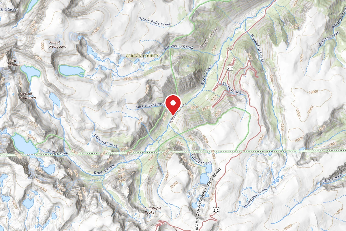 Custer Gallatin Dispersed Campsite BRD2421-029