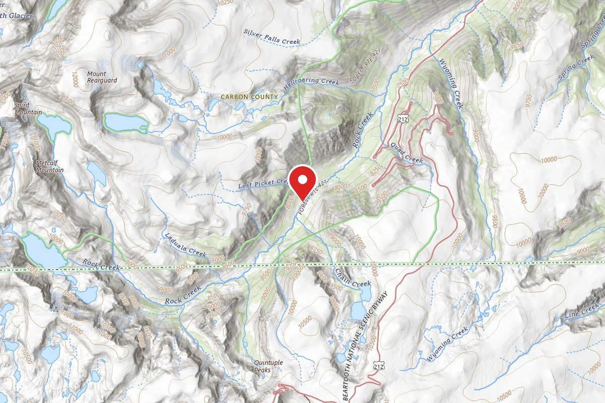 Custer Gallatin Dispersed Campsite BRD2421-030