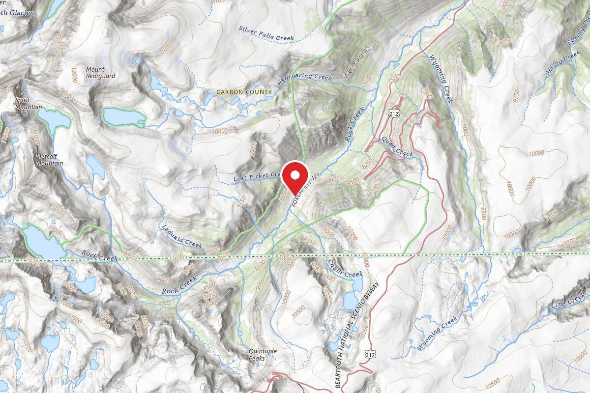 Custer Gallatin Dispersed Campsite BRD2421-031