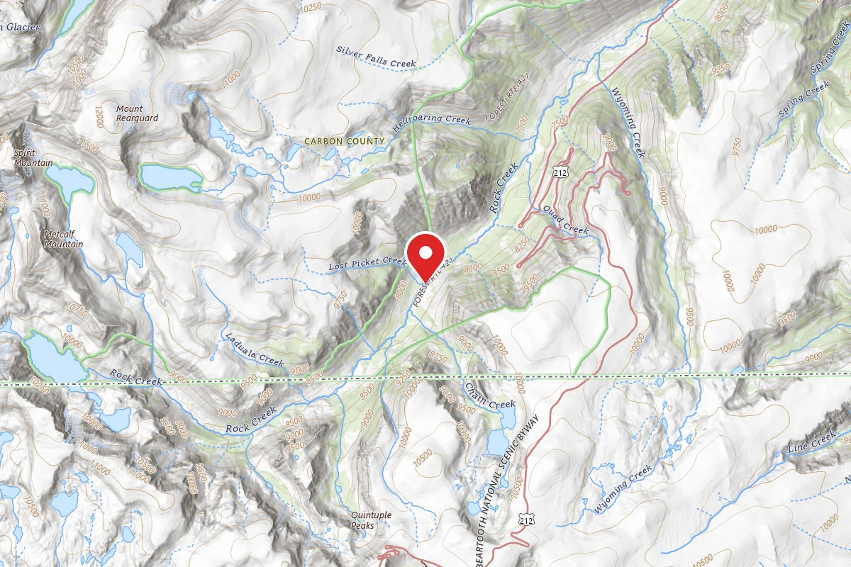 Custer Gallatin Dispersed Campsite BRD2421-032