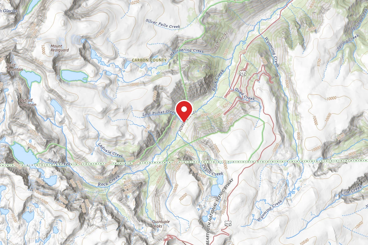 Custer Gallatin Dispersed Campsite BRD2421-033