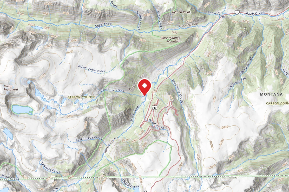 Custer Gallatin Dispersed Campsite BRD2421-035