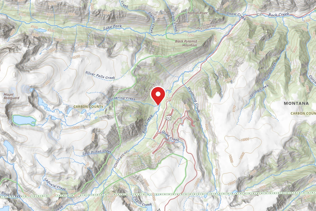 Custer Gallatin Dispersed Campsite BRD2421-036
