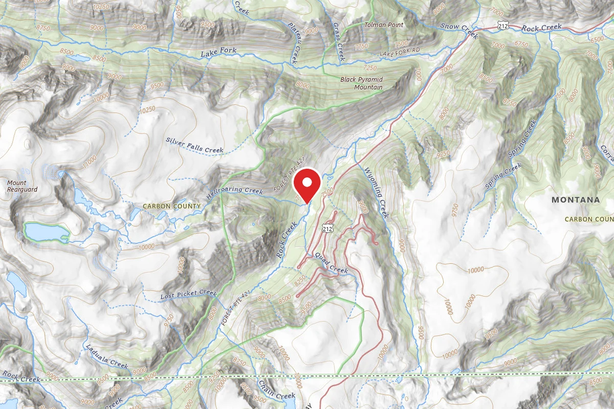 Custer Gallatin Dispersed Campsite BRD2421-037