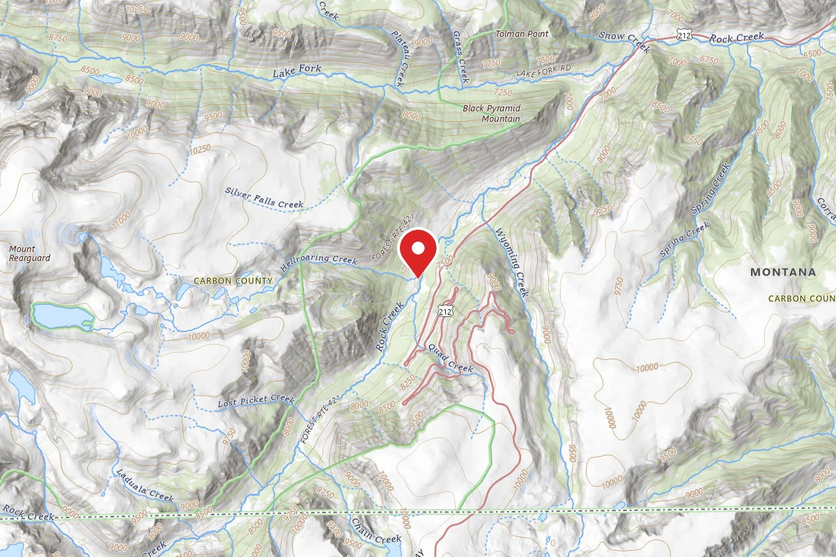 Custer Gallatin Dispersed Campsite BRD2421-038