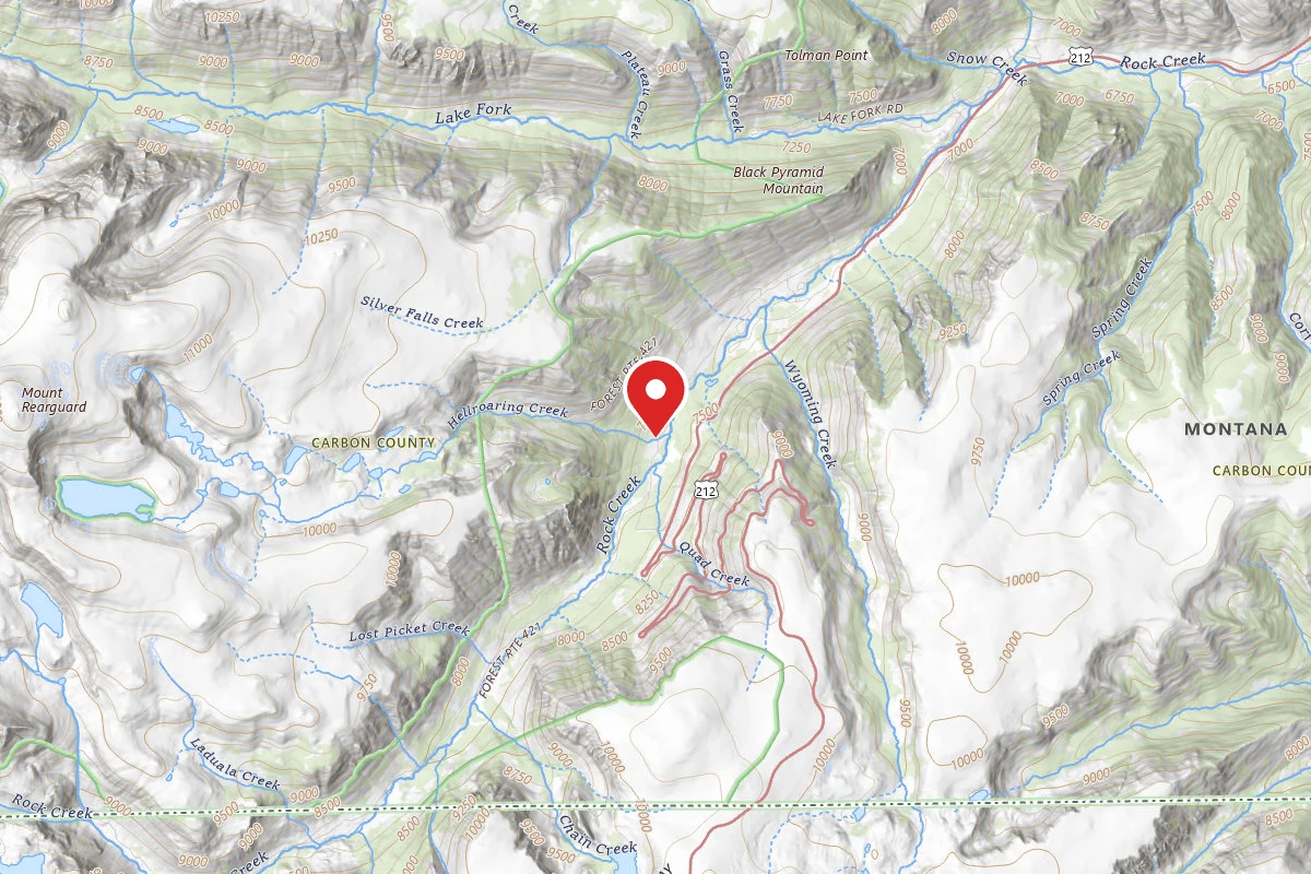 Custer Gallatin Dispersed Campsite BRD2421-043