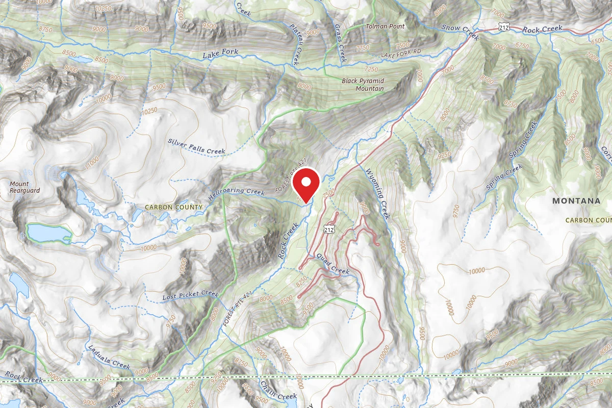 Custer Gallatin Dispersed Campsite BRD2421-044
