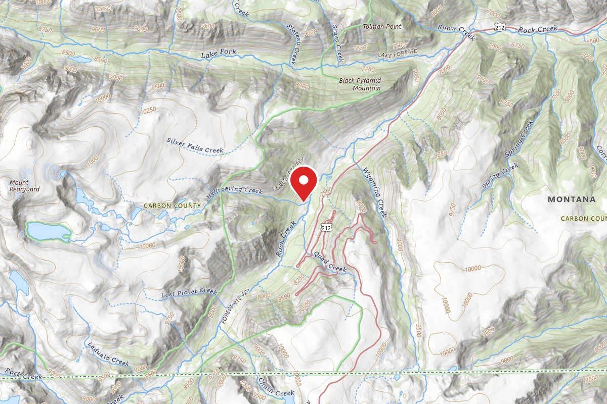 Custer Gallatin Dispersed Campsite BRD2421-045