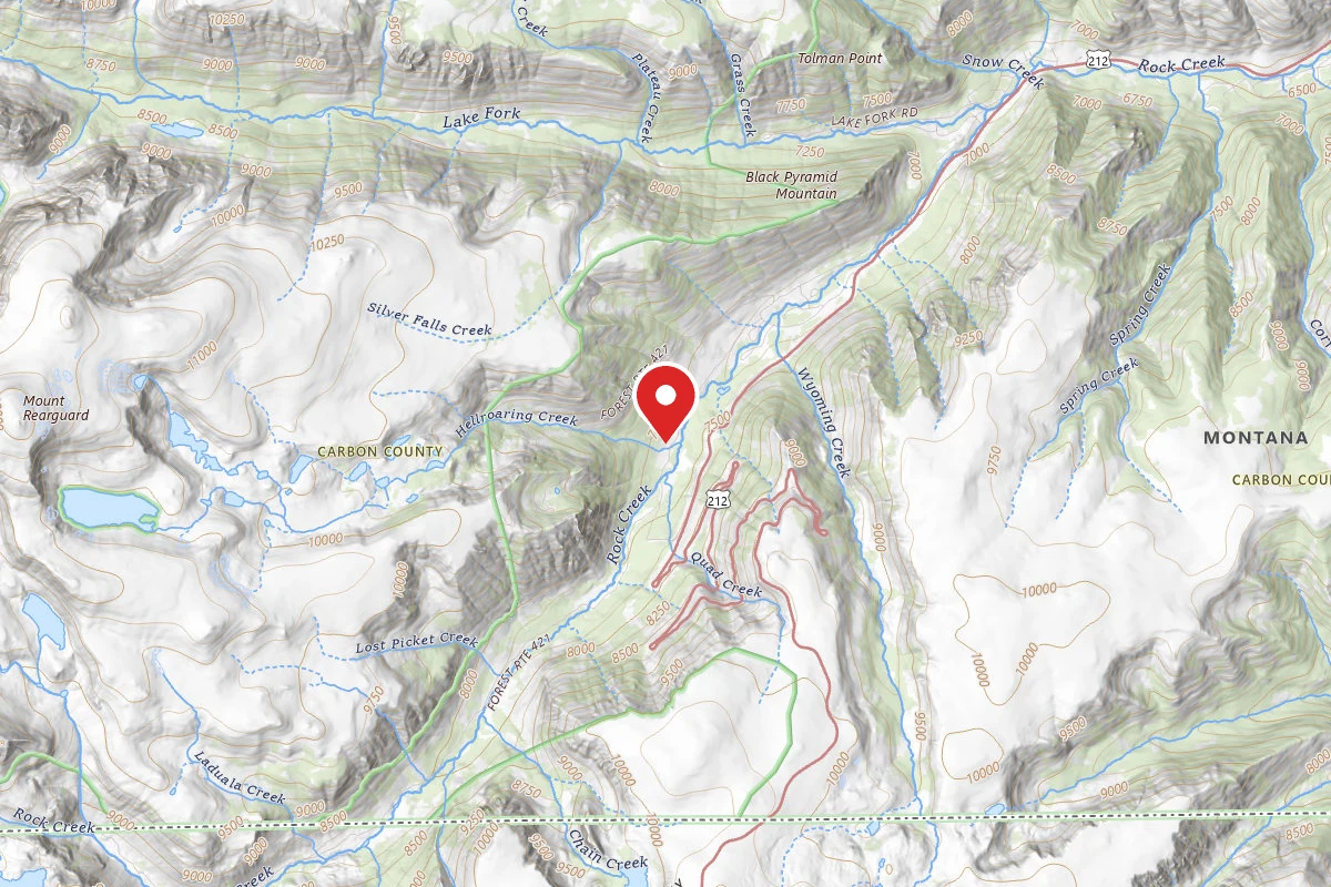 Custer Gallatin Dispersed Campsite BRD2421-046