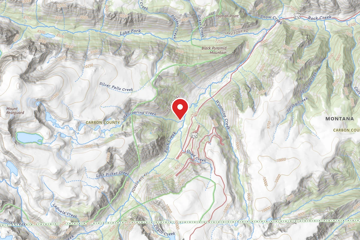 Custer Gallatin Dispersed Campsite BRD2421-047