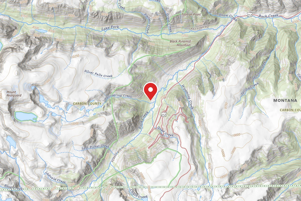 Custer Gallatin Dispersed Campsite BRD2421-048