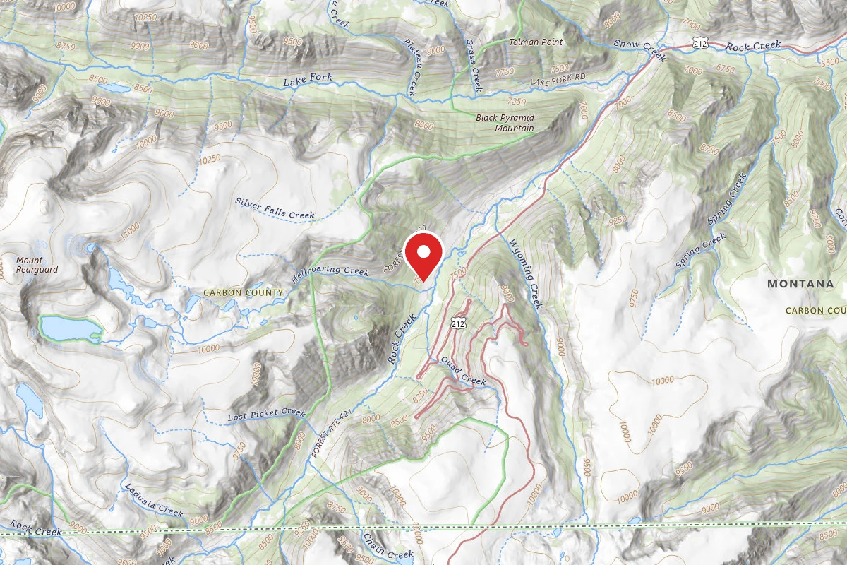 Custer Gallatin Dispersed Campsite BRD2421-049